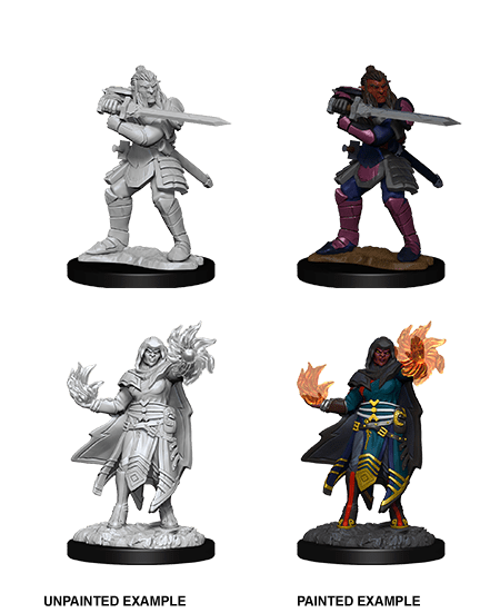Hobgoblin Fighter & Wizard - D&D Nolzurs Marvelous Miniatures image 0