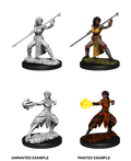 Half Elf Monk ( Female ) - D&D Nolzurs Marvelous Miniatures image 0