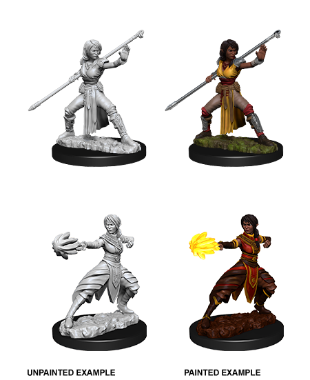 Half Elf Monk ( Female ) - D&D Nolzurs Marvelous Miniatures image 0