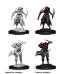 Tiefling Rogue ( Female ) - D&D Nolzurs Marvelous Miniatures image 0