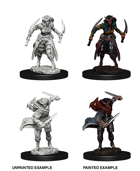 Tiefling Rogue ( Female ) - D&D Nolzurs Marvelous Miniatures image 0