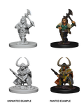 Dwarf Barbarian ( Female ) - D&D Nolzurs Marvelous Miniatures image 0