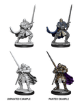 Half Orc Paladin - D&D Nolzurs Marvelous Miniatures image 0