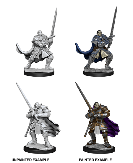 Half Orc Paladin - D&D Nolzurs Marvelous Miniatures image 0