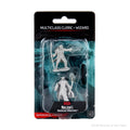 Multiclass Human Cleric & Wizard ( Male ) - D&D Nolzurs Marvelous Miniatures image 0