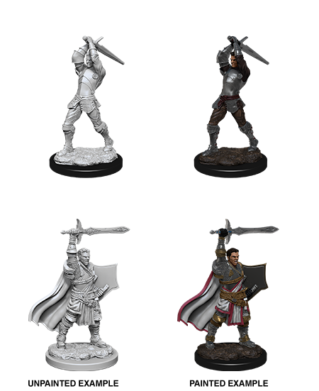 Human Paladin ( Male ) - D&D Nolzurs Marvelous Miniatures image 0
