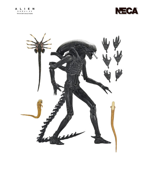 Alien : Romulus - Ultimate Xenomorph XX121 7" Scale Action Figure image 0
