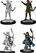Elf Ranger ( Female ) - D&D Nolzurs Marvelous Miniatures image 0