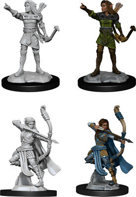 Elf Ranger ( Female ) - D&D Nolzurs Marvelous Miniatures image 0