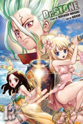 Dr STONE, Vol. 13 image 0