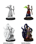 Human Warlock ( Female ) - D&D Nolzurs Marvelous Miniatures image 0