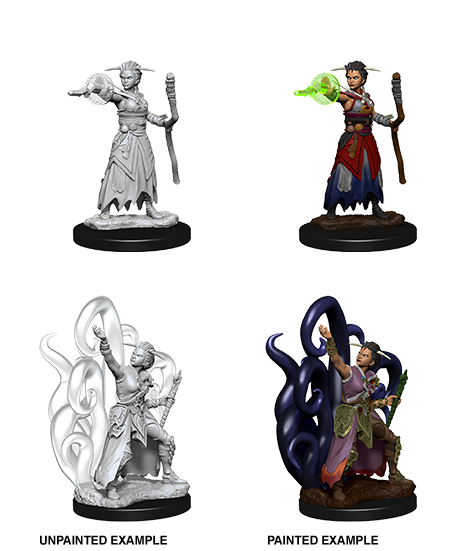 Human Warlock ( Female ) - D&D Nolzurs Marvelous Miniatures image 0