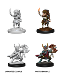 Halfling Fighter ( Female ) - D&D Nolzurs Marvelous Miniatures image 0