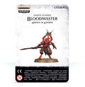 BLADES OF KHORNE : BLOODMASTER HERALD OF KHORNE image 0