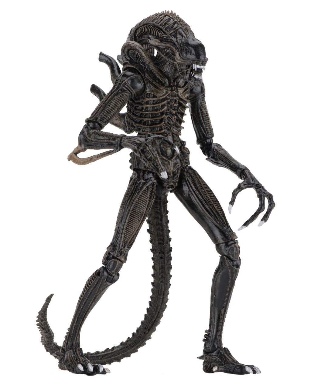 Alien - Aliens Ultimate Warrior 1986 - Bronze image 1