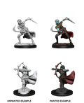 Air Genasi  - D&D Nolzurs Marvelous Miniatures image 0