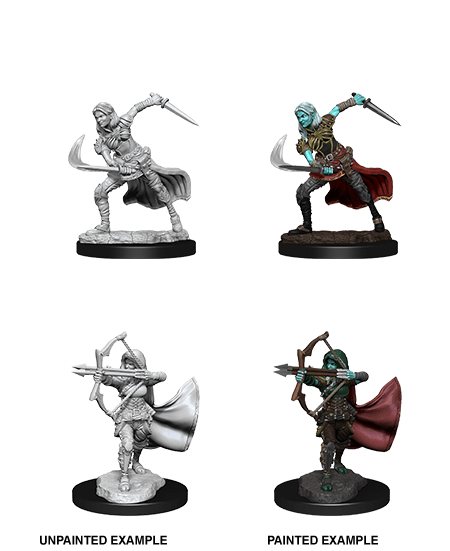 Air Genasi  - D&D Nolzurs Marvelous Miniatures image 0