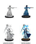 Elf Wizard ( Female ) - D&D Nolzurs Marvelous Miniatures image 0