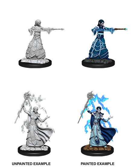 Elf Wizard ( Female ) - D&D Nolzurs Marvelous Miniatures image 0