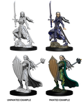 Elf Paladin ( Female ) - D&D Nolzurs Marvelous Miniatures image 0