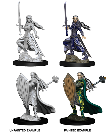 Elf Paladin ( Female ) - D&D Nolzurs Marvelous Miniatures image 0