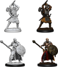 Human Barbarian ( Male ) - D&D Nolzurs Marvelous Miniatures image 0