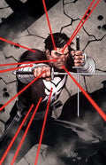 Punisher War Journal  image 0
