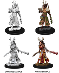 Human Druid ( Female ) - D&D Nolzurs Marvelous Miniatures image 0
