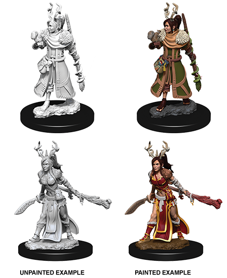 Human Druid ( Female ) - D&D Nolzurs Marvelous Miniatures image 0