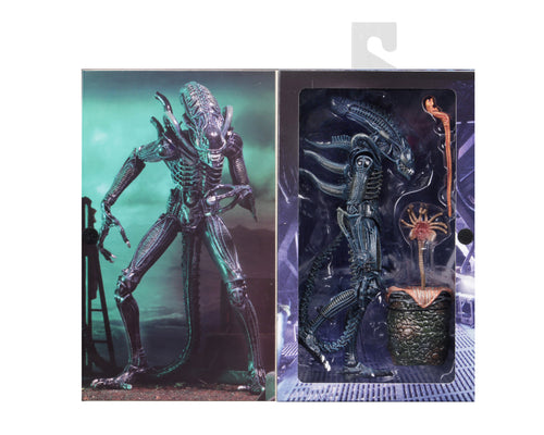 Alien - Aliens Ultimate Warrior 1986 - Green image 0