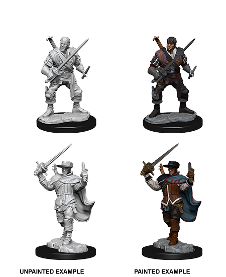 Human Bard - D&D Nolzurs Marvelous Miniatures image 0