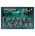 Drukhari / Dark Eldar - Wyches image 0