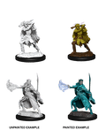 Winter & Spring Eladrin - D&D Nolzurs Marvelous Miniatures image 0