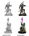 Elf Bard ( Male ) - D&D Nolzurs Marvelous Miniatures image 0