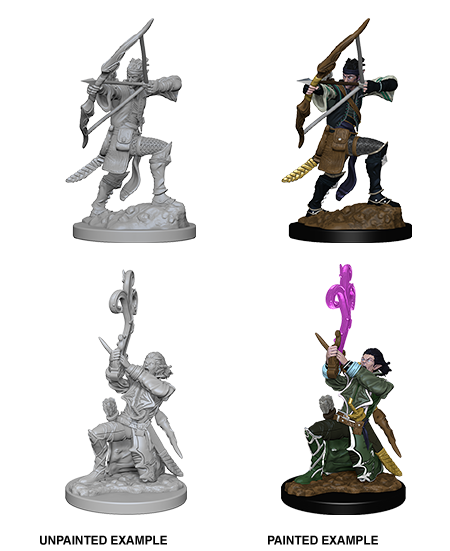 Elf Bard ( Male ) - D&D Nolzurs Marvelous Miniatures image 0
