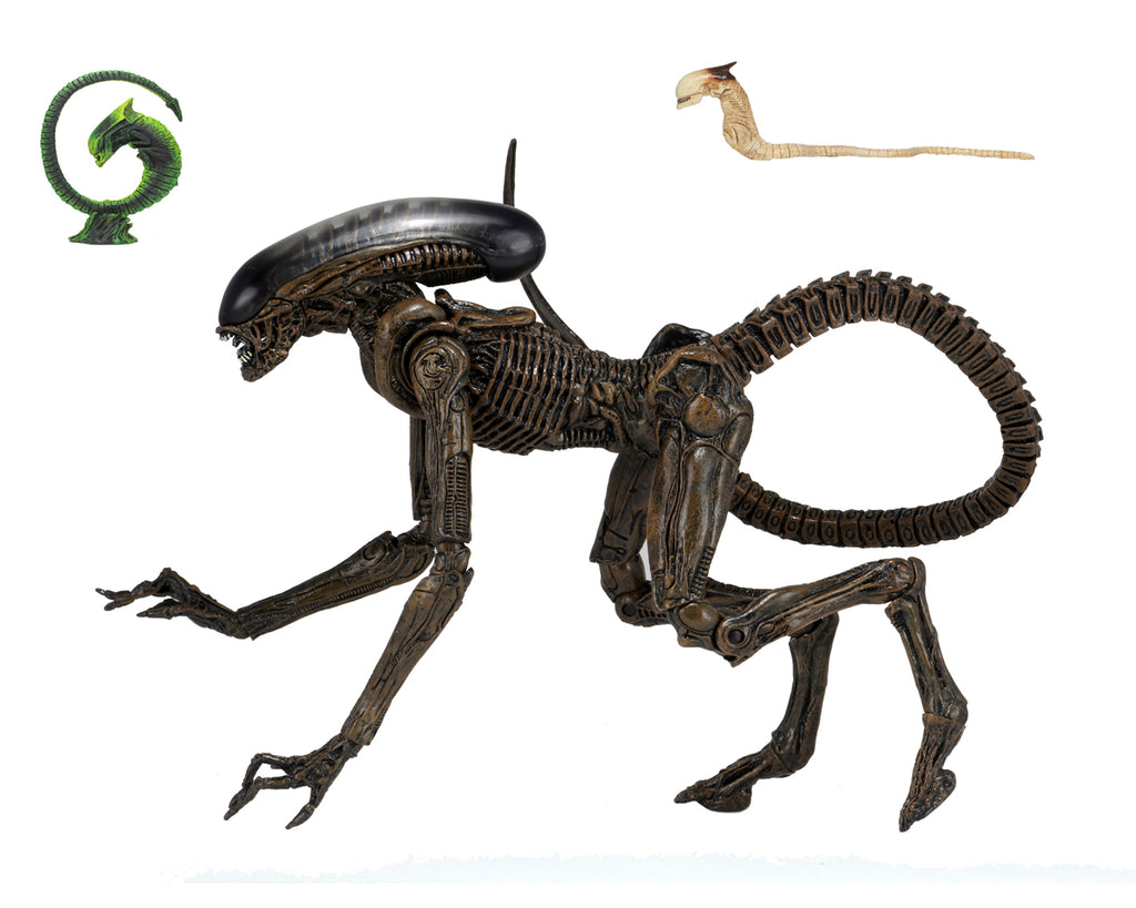 Alien 3 - Alien Dog Ultimate Edition- Neca Figure image 0