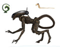 Alien 3 - Alien Dog Ultimate Edition- Neca Figure image 0