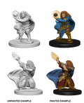Dwarf Wizard ( Female ) - D&D Nolzurs Marvelous Miniatures image 0