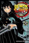Demon Slayer Vol 12 image 0