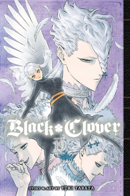 Black Clover Vol 19 image 0