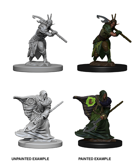Elf Druid ( Male ) - D&D Nolzurs Marvelous Miniatures image 0