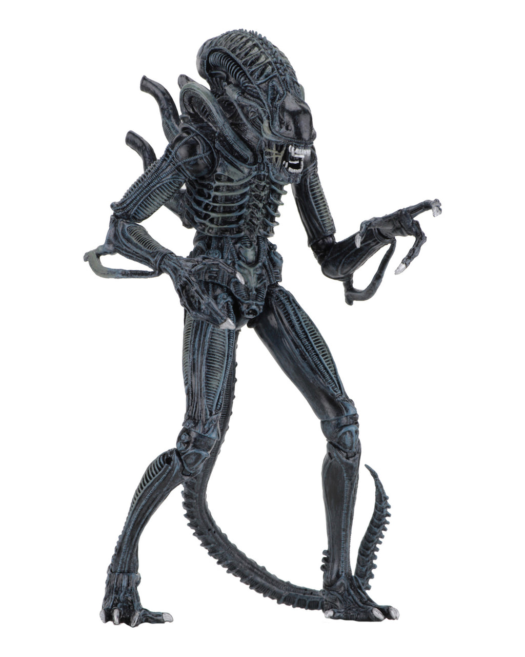 Alien - Aliens Ultimate Warrior 1986 - Green image 1