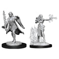 Multiclass Human Warlock & Sorcerer ( Female )- D&D Nolzurs Marvelous Miniatures image 0