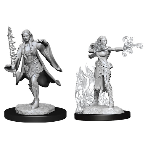 Multiclass Human Warlock & Sorcerer ( Female )- D&D Nolzurs Marvelous Miniatures image 0
