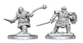 Dwarf Fighter - D&D Nolzurs Marvelous Miniatures image 0
