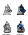 Tiefling Sorcerer ( Female ) - D&D Nolzurs Marvelous Miniatures image 0