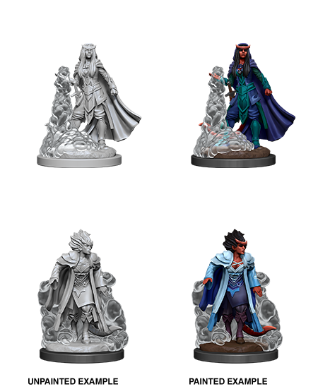 Tiefling Sorcerer ( Female ) - D&D Nolzurs Marvelous Miniatures image 0
