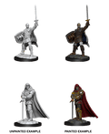 Human Paladin - D&D Nolzurs Marvelous Miniatures image 0