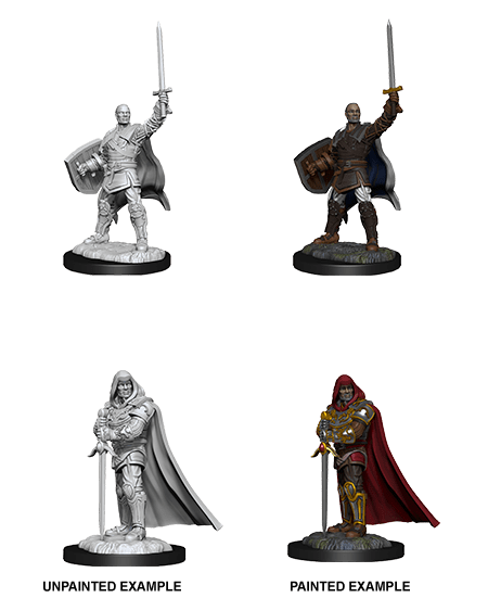 Human Paladin - D&D Nolzurs Marvelous Miniatures image 0