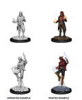Tiefling sorcerer ( Male ) - D&D Nolzurs Marvelous Miniatures image 0